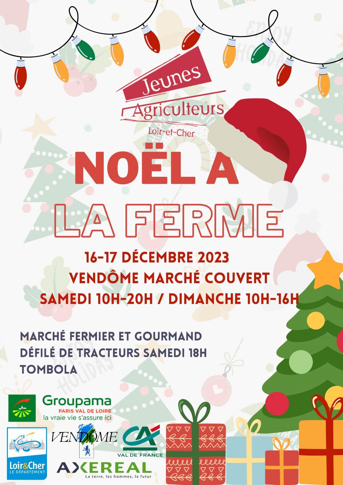 Marché de Noël - Vendôme
