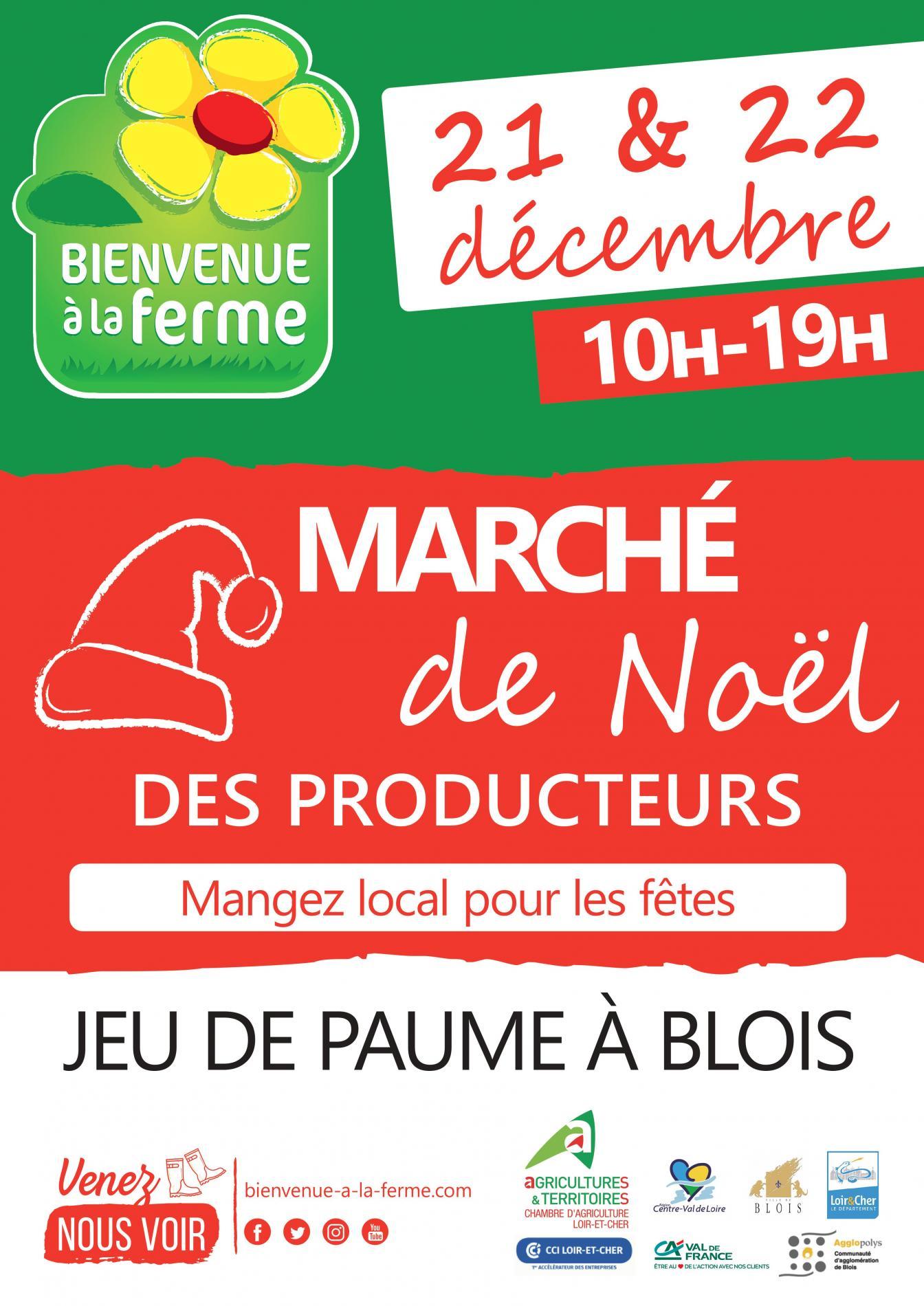 Marche de Noël - Blois
